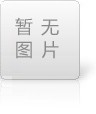 惠州大亚湾区石化投资集团党总支关于 巡察集中整改进展情况的通报